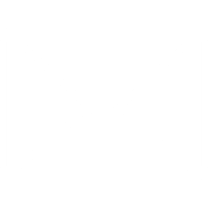 evergreenit@gmail.com